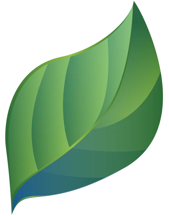 Graphic of a leaf with different shades of green